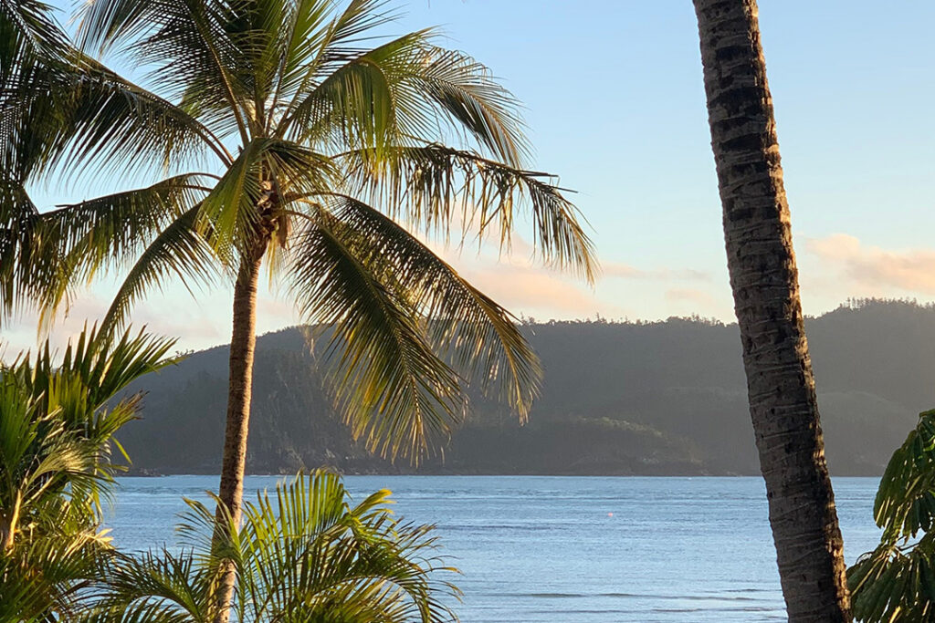 Beach scene at sunset with palm trees