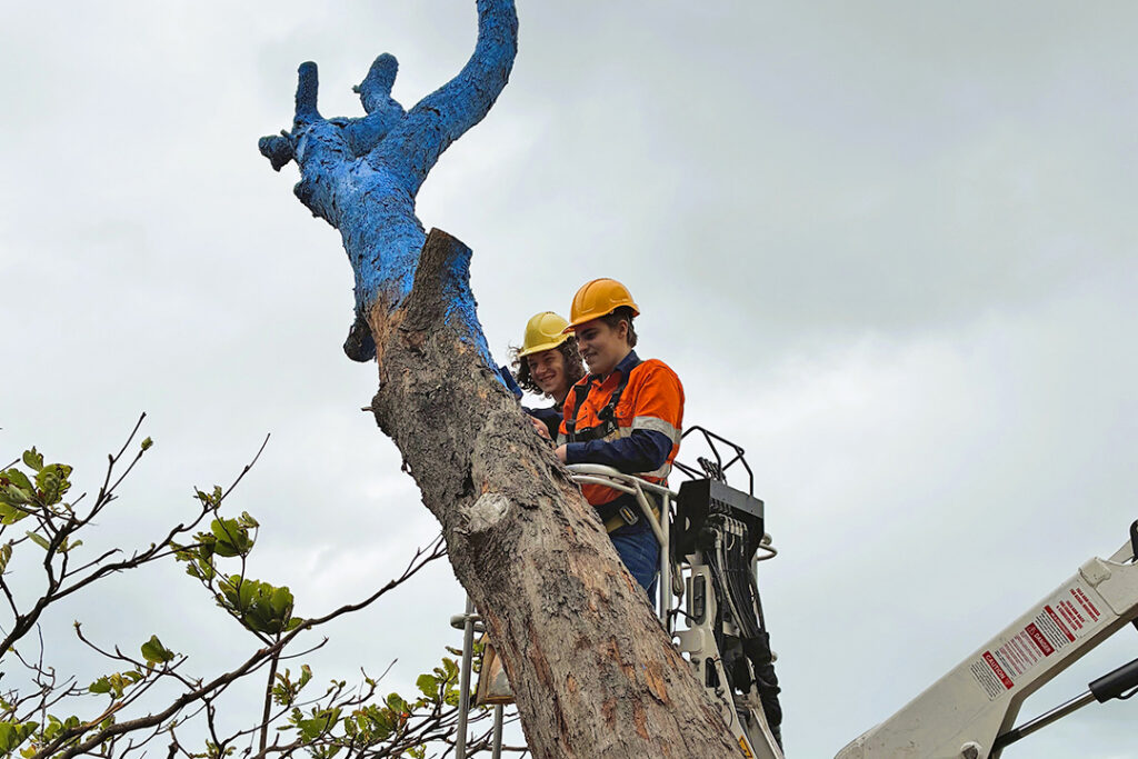Workers in safety gear, in a crane, painting a tree blue.