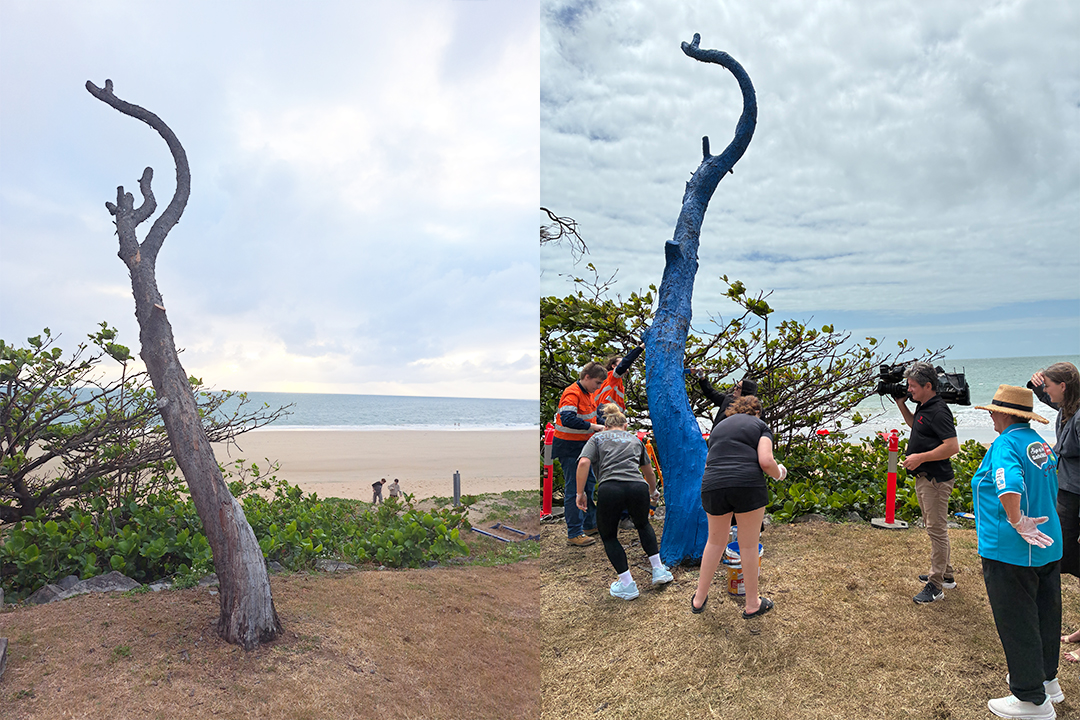 Before and after a tree was painted blue